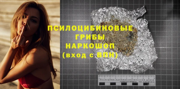 ПСИЛОЦИБИНОВЫЕ ГРИБЫ Алексеевка