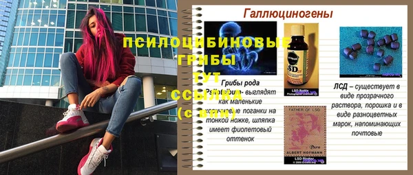 ПСИЛОЦИБИНОВЫЕ ГРИБЫ Алексеевка